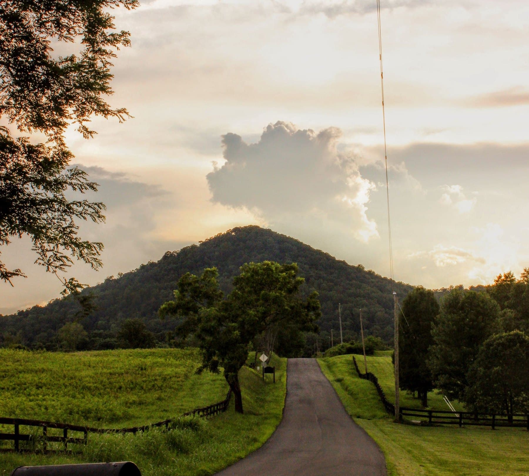 A quiet country road running toward a green hill, with a mailbox at the roadside