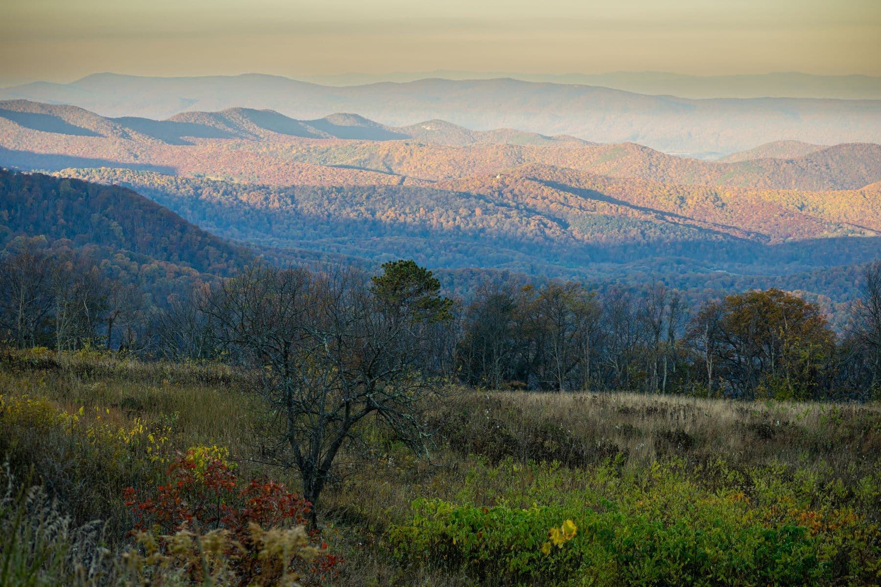 The Blue Ridge Mountains of Virginia layered in autumn color under a soft sky