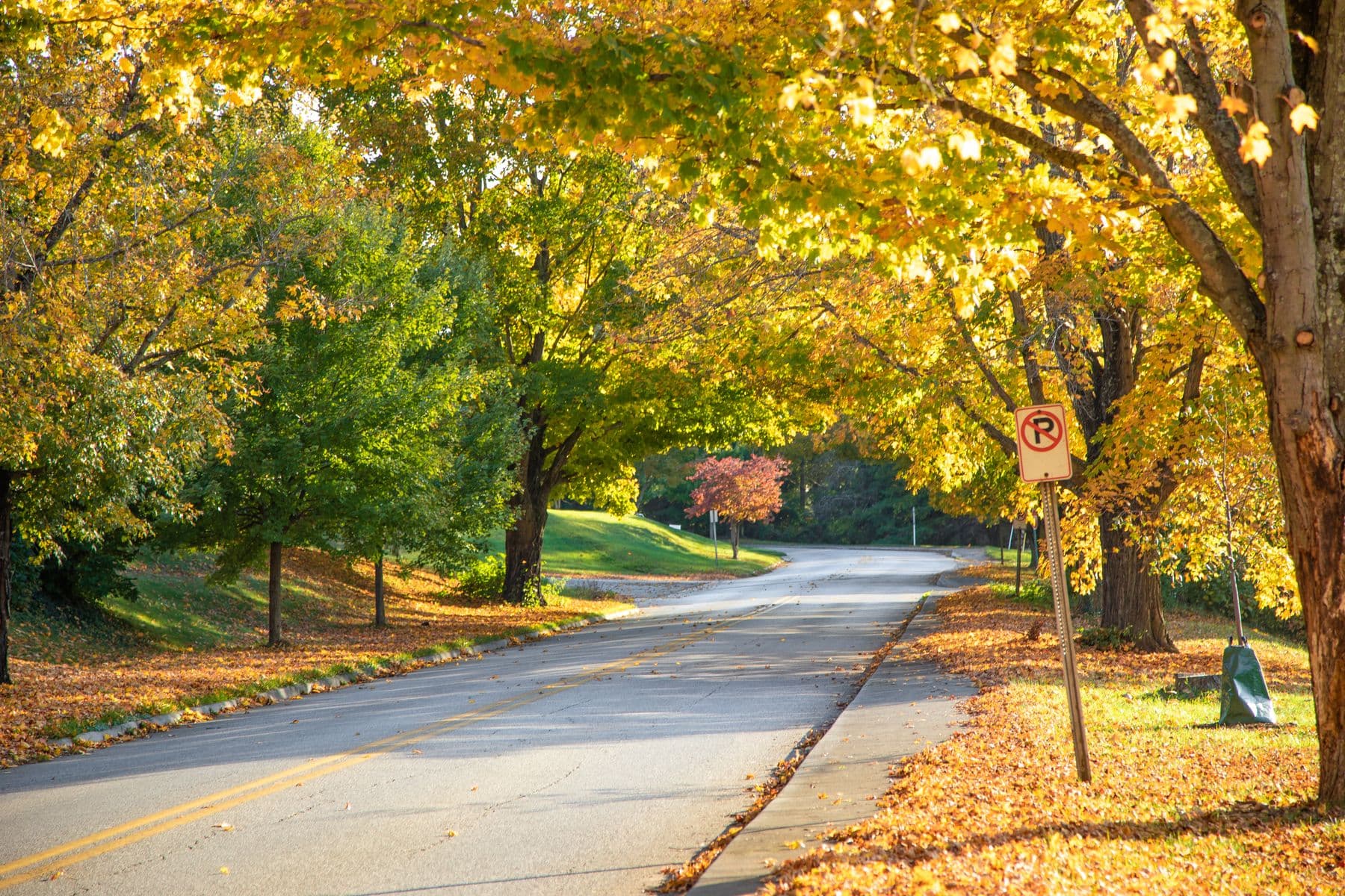 A quiet Virginia road curving through bright autumn foliage