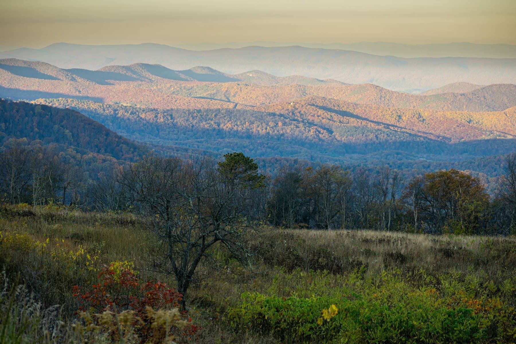 Ridgelines of the Blue Ridge Mountains in Virginia layered to the horizon in autumn