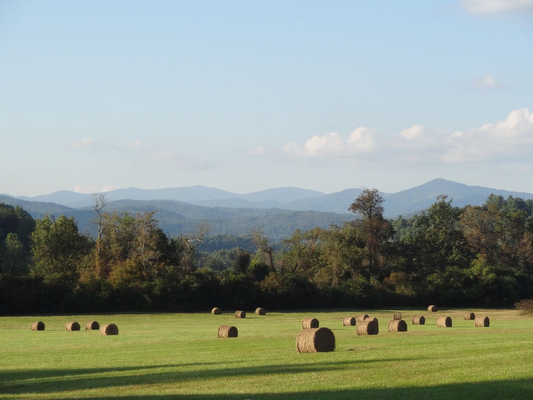 Round hay bales across a green field with the ridgelines of the Blue Ridge Mountains beyond